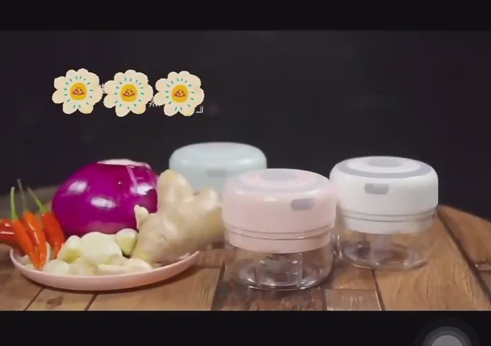 a video explaining the uses of a electric chopper and how to use it  